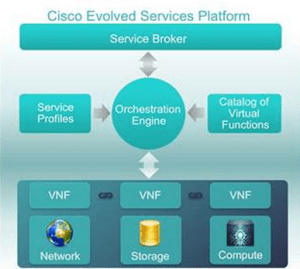 nfv7