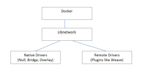 dockerexpnet1